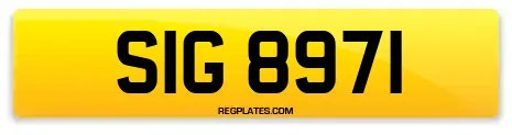 SIG 8971