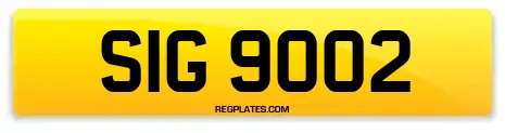 SIG 9002