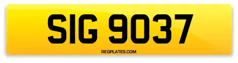 SIG 9037