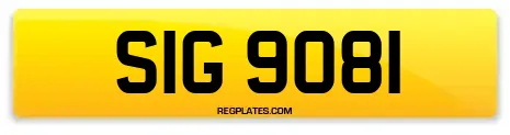 SIG 9081
