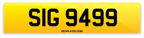 SIG 9499