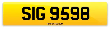 SIG 9598