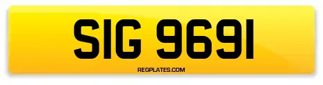 SIG 9691