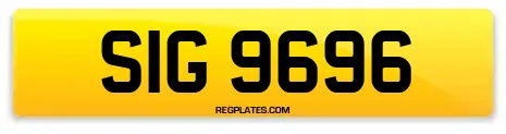SIG 9696