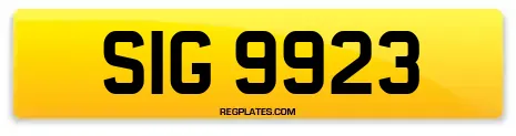 SIG 9923