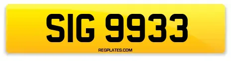 SIG 9933