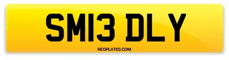SM13 DLY
