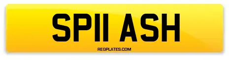 SP11 ASH