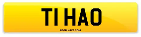 T1 HAO