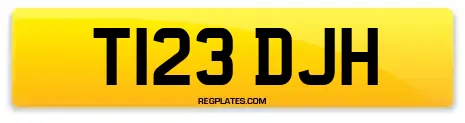 T123 DJH