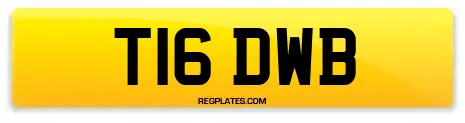 T16 DWB