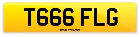 T666 FLG