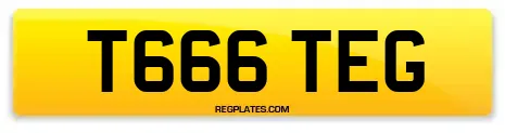 T666 TEG
