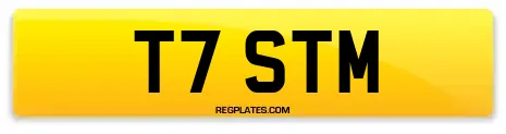 T7 STM