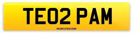 TE02 PAM