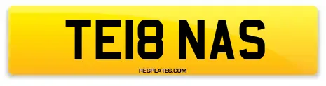 TE18 NAS