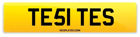 TE51 TES