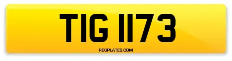 TIG 1173