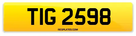 TIG 2598