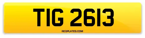 TIG 2613