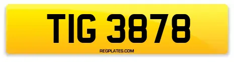TIG 3878
