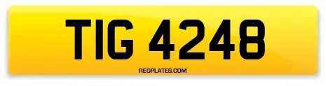 TIG 4248