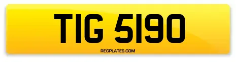 TIG 5190
