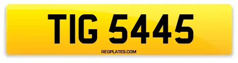 TIG 5445