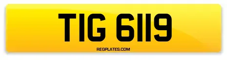 TIG 6119