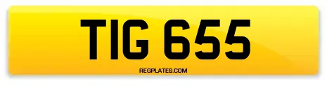 TIG 655