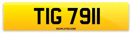 TIG 7911
