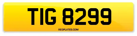 TIG 8299