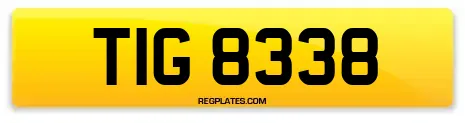 TIG 8338