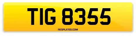 TIG 8355