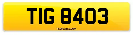 TIG 8403