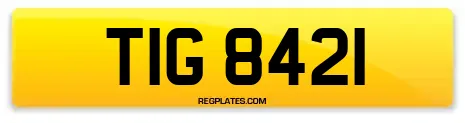 TIG 8421