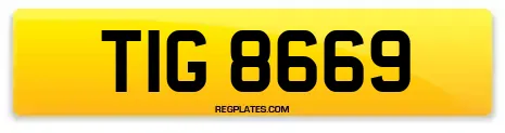 TIG 8669