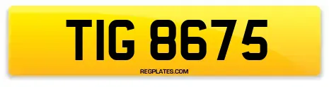 TIG 8675
