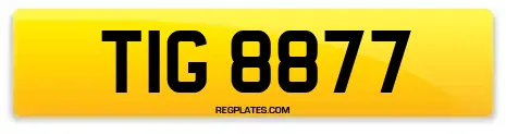 TIG 8877