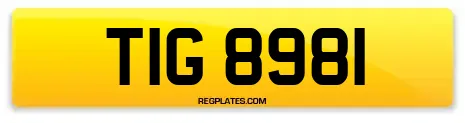 TIG 8981