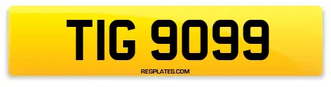TIG 9099