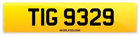 TIG 9329