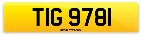 TIG 9781