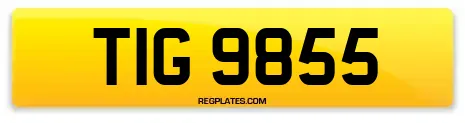 TIG 9855