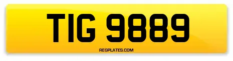 TIG 9889