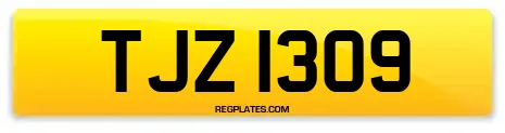 TJZ 1309