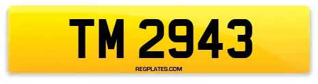 TM 2943