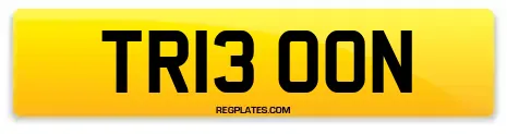 TR13 OON