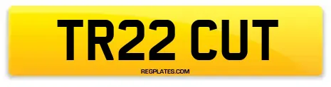 TR22 CUT