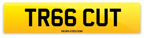TR66 CUT